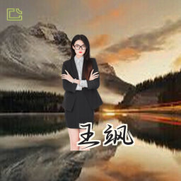 王飒